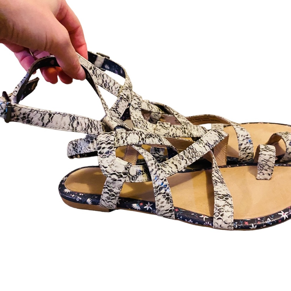 Cabi Athena Python Embossed Gladiator Sandals Size 7 - Picture 3 of 8